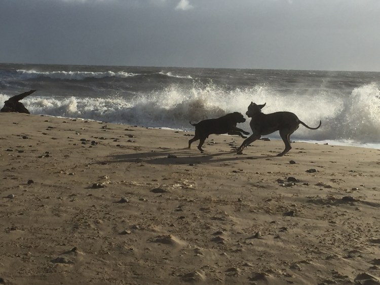 Winterton Beach